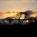 Kruger National Park